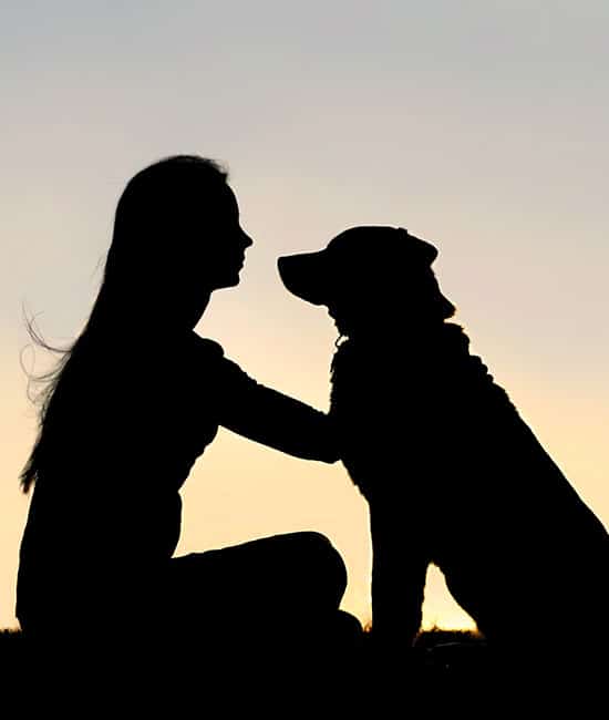 Compassionate end-of-life veterinary care for pets at Cane Bay Veterinary Clinic
