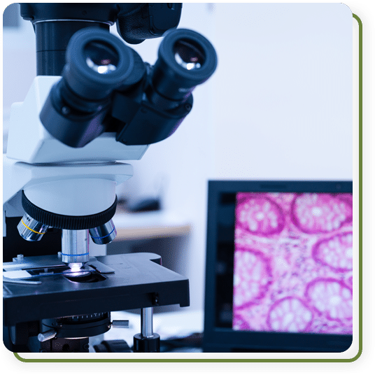 Veterinary diagnostic equipment used for pet health testing at Cane Bay Veterinary Clinic in Summerville, SC
