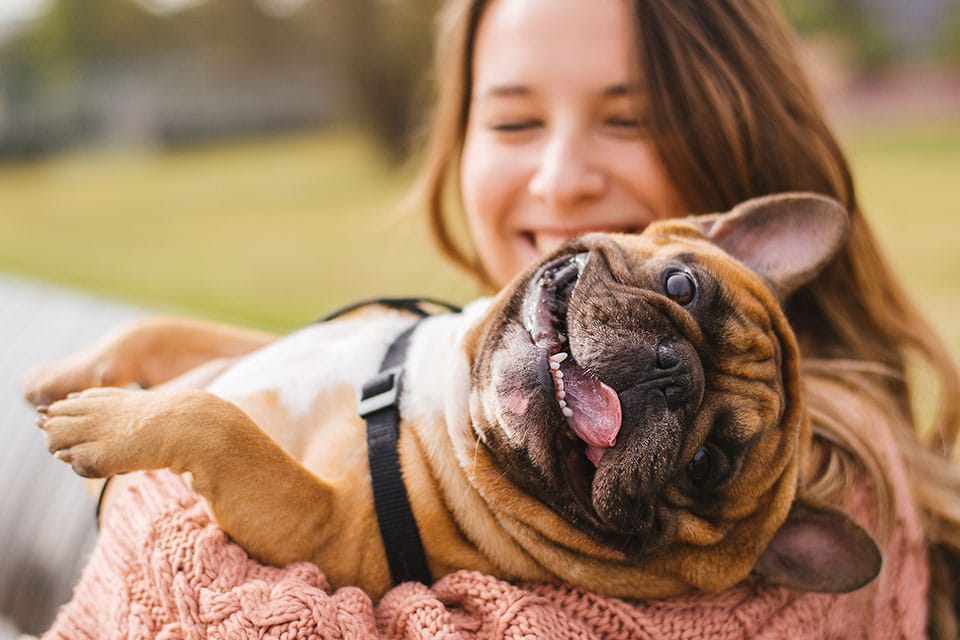 Veterinary diagnostic imaging or lab analysis for accurate pet health diagnosis in Summerville, SC
