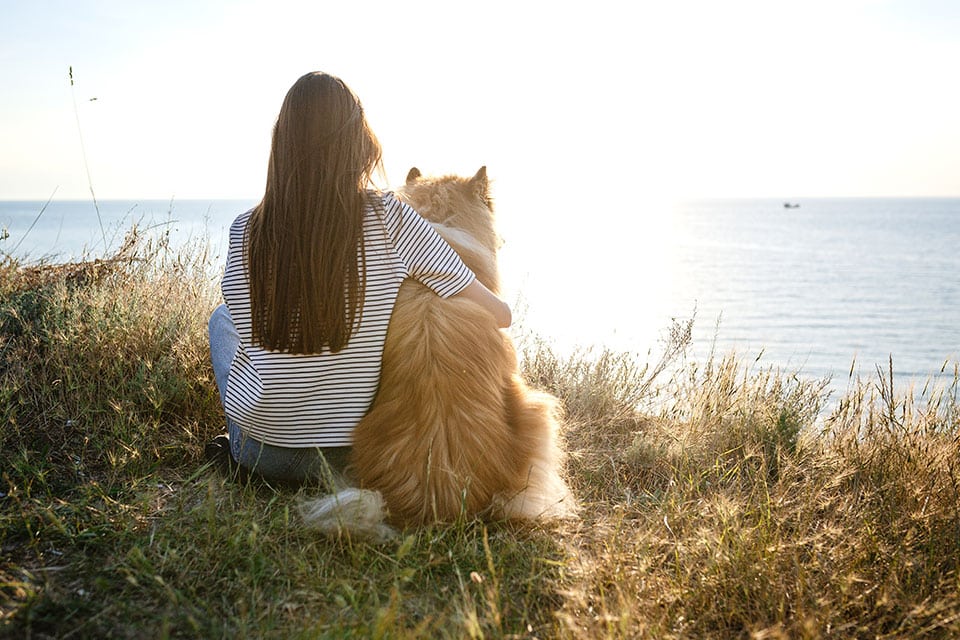 Compassionate veterinary hospice and euthanasia care for pets at end of life
