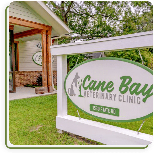 Veterinary professional at Cane Bay Veterinary Clinic in Summerville, SC