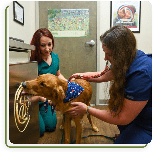 Cane Bay Veterinary Clinic staff member engaged in general veterinary care duties