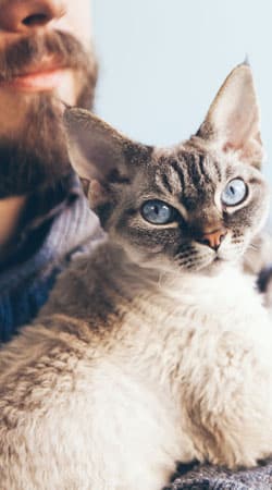 Fear-free veterinary care approach keeping pets relaxed at Cane Bay Vet Clinic
