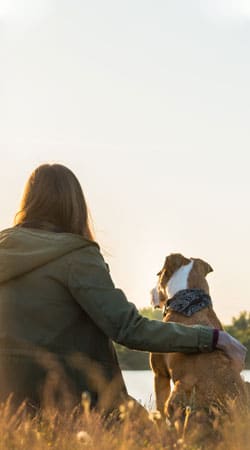Calm pet receiving fear-free veterinary care at Cane Bay Veterinary Clinic
