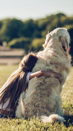 Veterinary team member using fear-free handling methods with a pet patient
