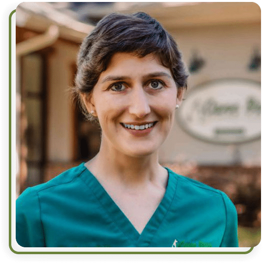 Veterinary staff member at Cane Bay Vet Clinic caring for a patient in Summerville, SC
