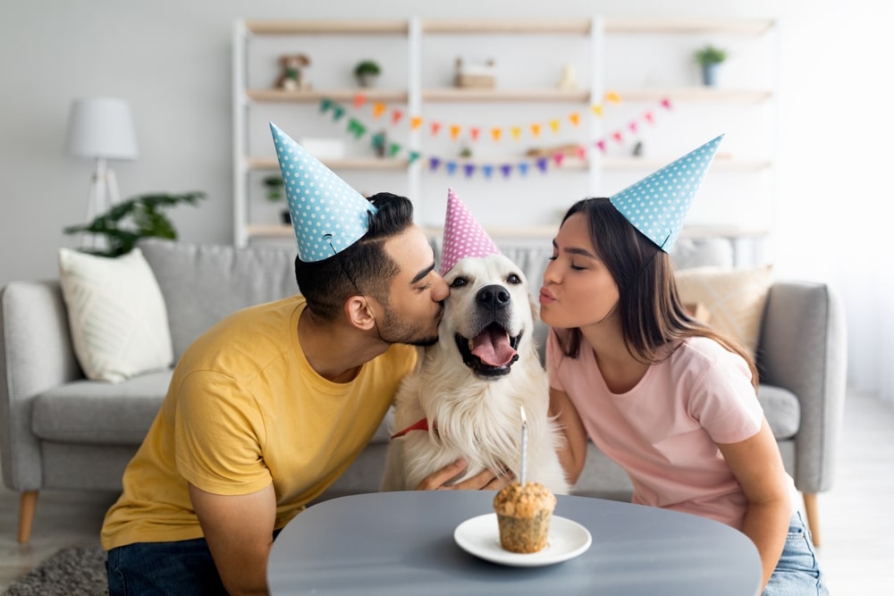 Young interracial couple in party hats celebrating their dog's birthday with joy