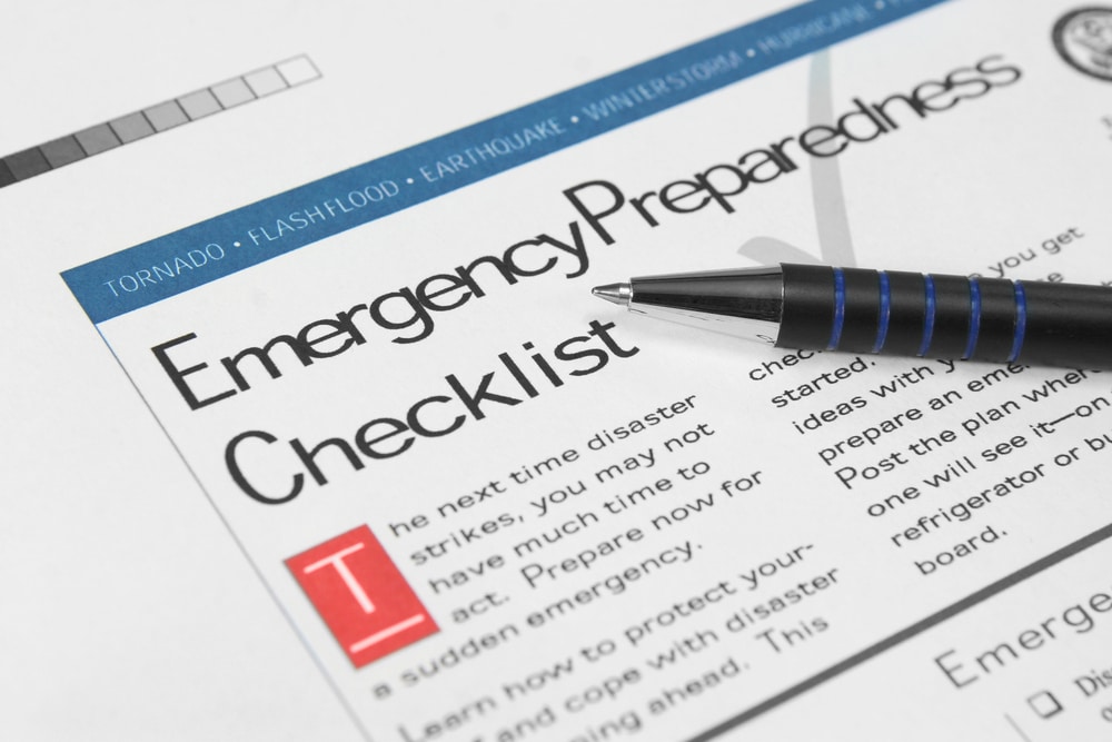 Pet emergency checklist document — essential guide for urgent veterinary situations